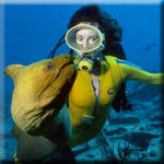 Scuba diving and snorkeling directory.