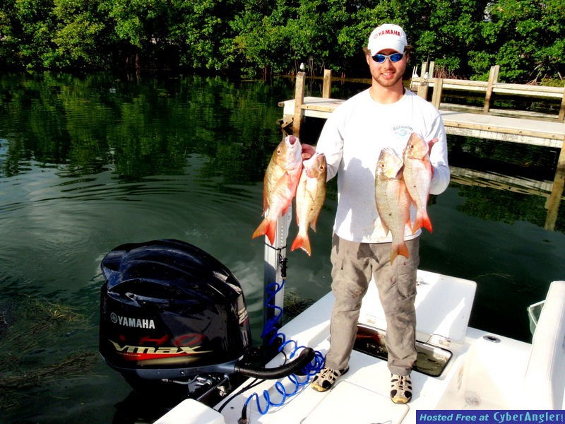 FWC Promotes Boating Access with New Database