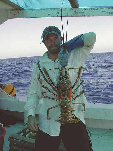 Gone Coastal: Heading to the Keys for lobster season?