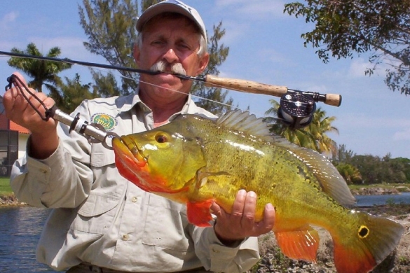 Calling All Anglers: National Park Service Considering Changes to Boating in Everglades National Park